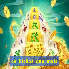 os bichos que mais saem na loteria federal